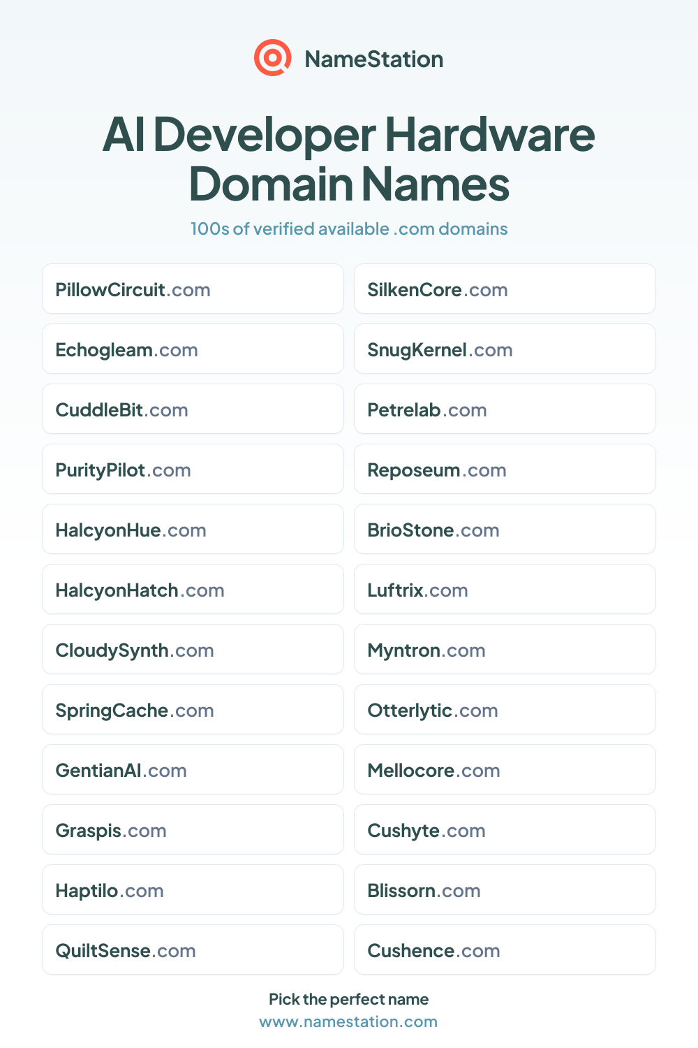 AI Developer Hardware Domain Names