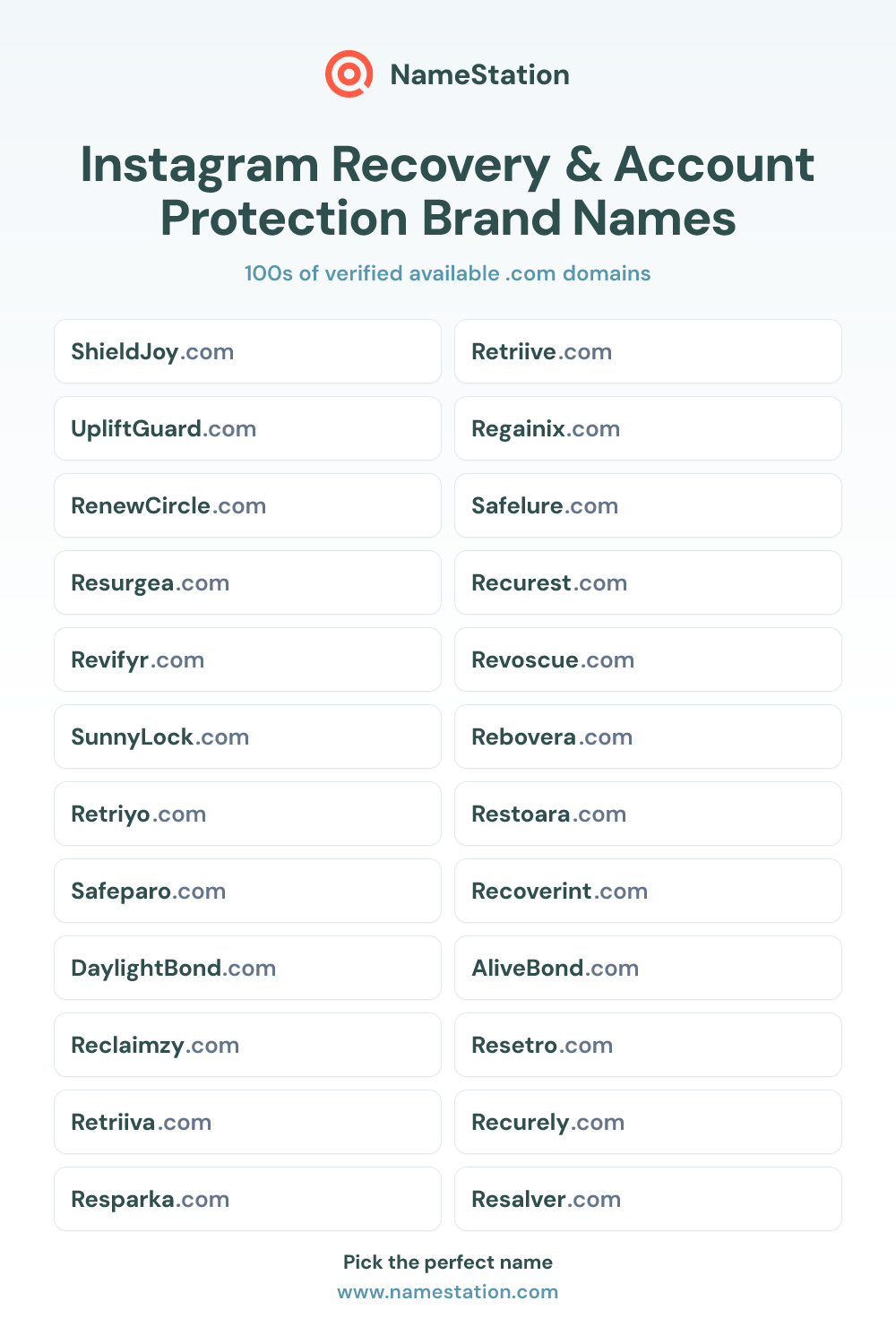 Instagram Recovery & Account Protection Brand Names
