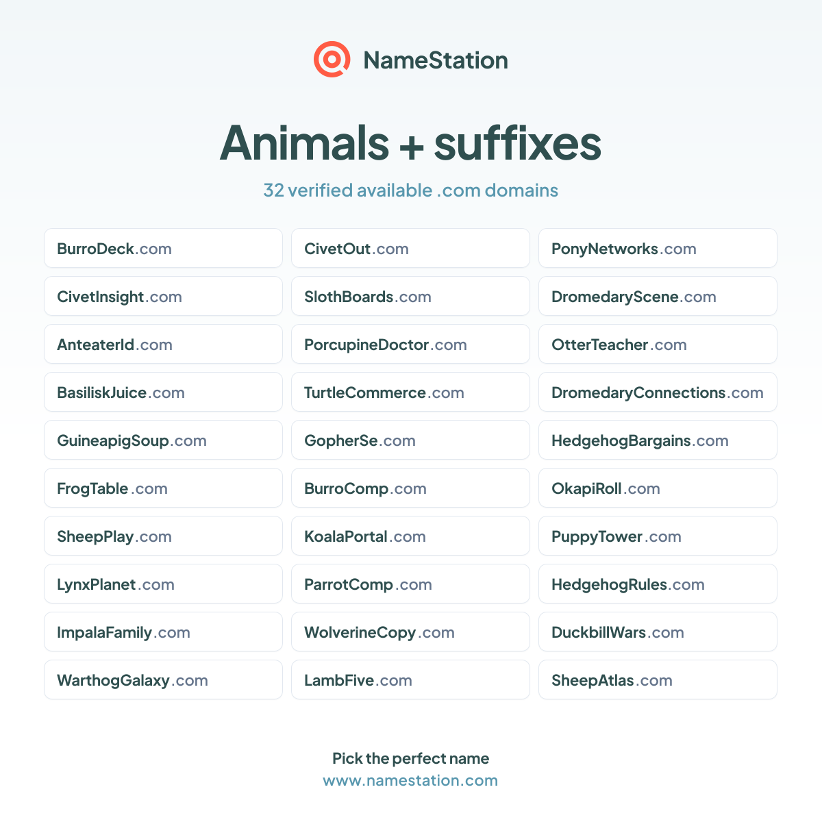 Animals + suffixes