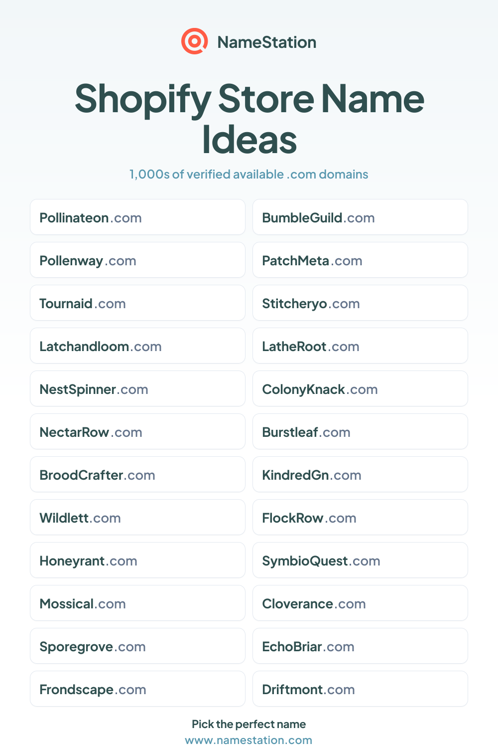 Shopify Store name ideas